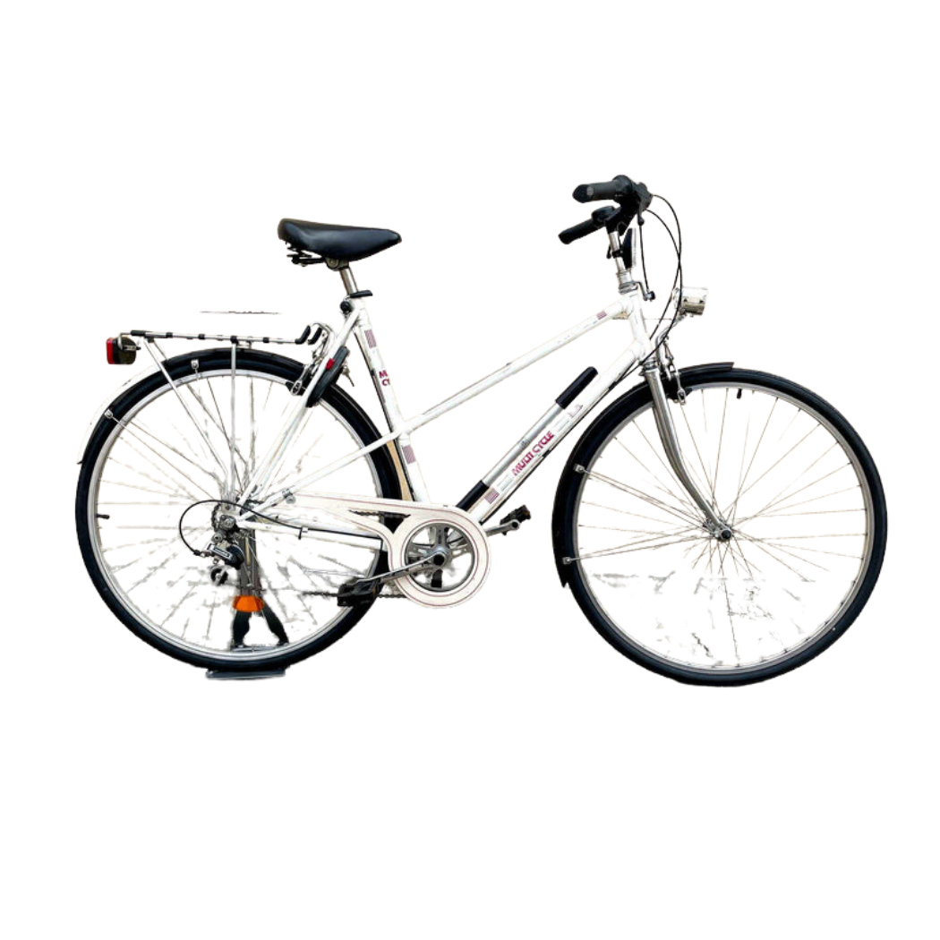 Multicycle - Sport 1200